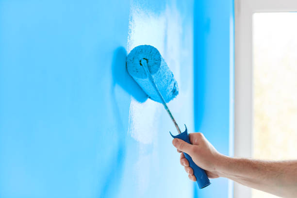 Professional Tips for DIY Home Interior Painting in Overland Park